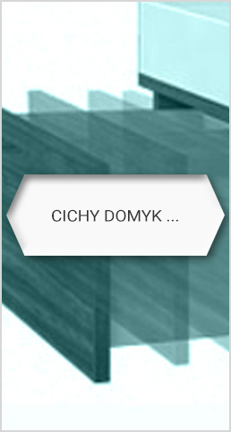 cichy domyk